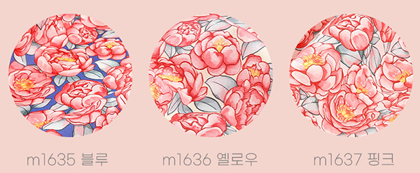 ��ǰ�̹���