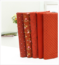 ��ǰ�̹���